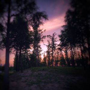 “空屋”（Empty Room）