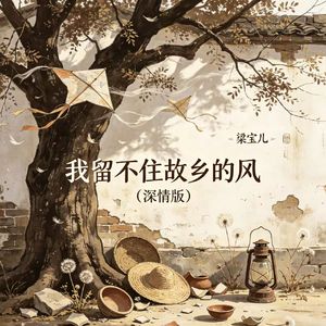 我留不住故乡的风（深情版）