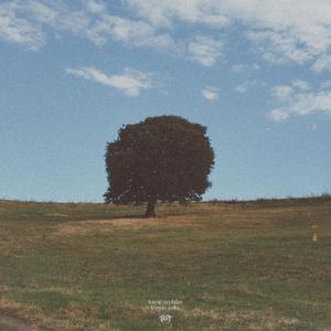 Saklı Sayfalarda Kayıp Zamanlar