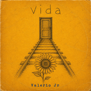 Vida