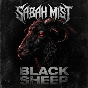 Blacksheep