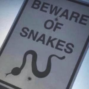 snakes