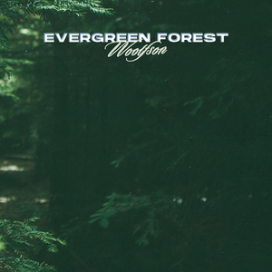 Evergreen Forest