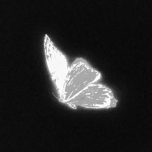 你不知道的事（女声speed up）