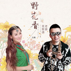 野花香 (DJ何鹏版)