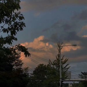 代号鸢|左慈个人BGM