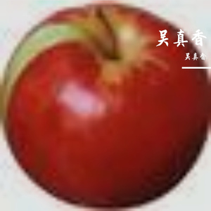 心底那团不灭的战火