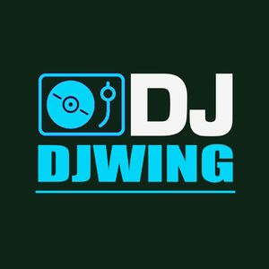 张爽 - 分手以后2024ElectroDj阿荣Wing-Mix国语男