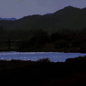 魔术手（翻自 执笔爱你）