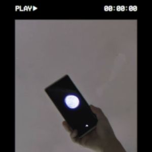 写给程走柳的最后一封信