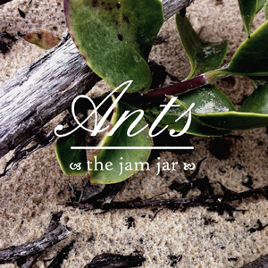 Ants