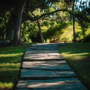 החיבור בריא