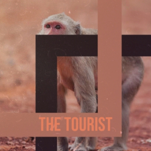 The Tourist