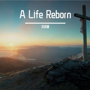Rebirth in Silence