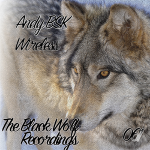 Wireless (Original Mix)