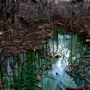 Blanchard River Sludge