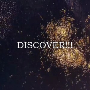 DISCOVER！！！