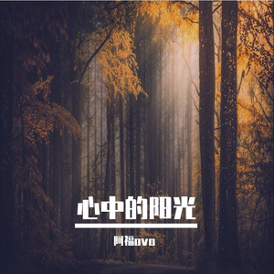 心中的阳光