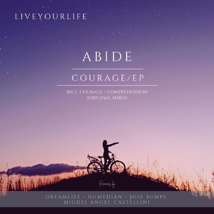Courage (DreamLife Remix)