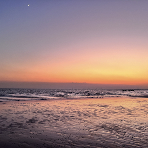 我迟早也会变成你落灰的歌单