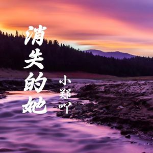 消失的她