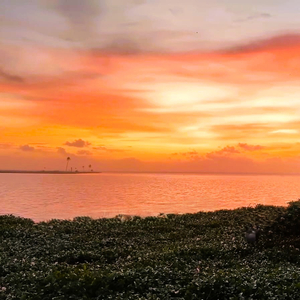 Ramnam in Madhyamavathi