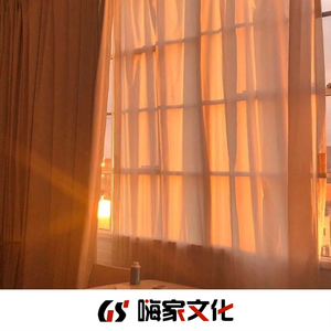 You Bring Me Joy (Remix)