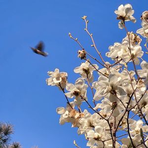 Спи собі сам (Live VK2016)