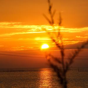 海鸟与鱼相爱(original mix)