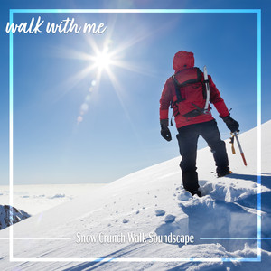 Snow Crunch Walk Soundscape, Pt. 8