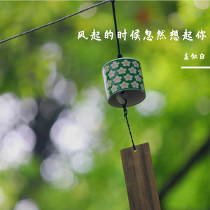 风起的时候忽然想起你