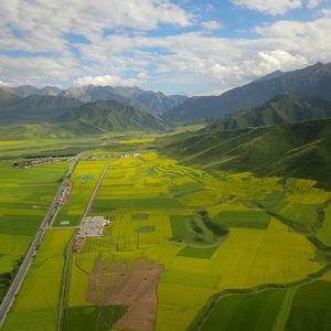 观鸟记 (古琴+鸟声)