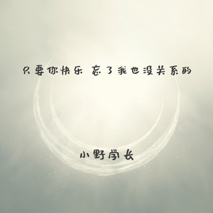 只要你快乐 忘了我也没关系的