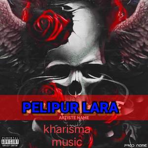 DJ PELIPUR LARA FULL
