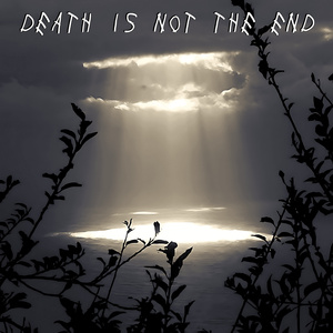 Death is not the End (Instrumental Version)