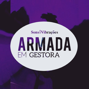 Armada Em Gestora