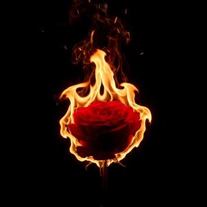 I'll Chase You Through The Flame's