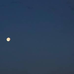 我睡在你眼睛的沙漠里