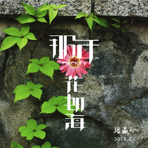 那年花如海（伴奏）