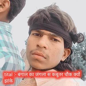 बंगाल का जंगला स कबूतर चौक क्यों झांके