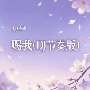 赐我(DJ节奏版)
