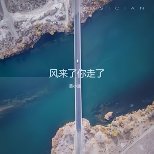 风来了你走了