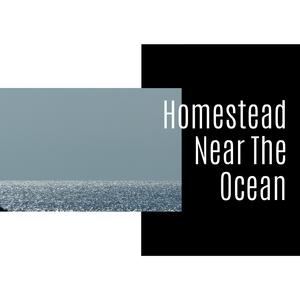 The Bubble Bug Forest