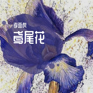 鸢尾花