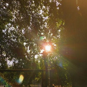 像我这样的人live