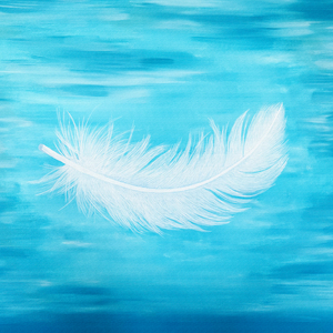 Federleicht feat. Reinhard Mey