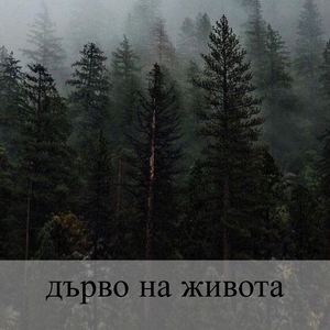 дърво на живота