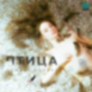 Птица