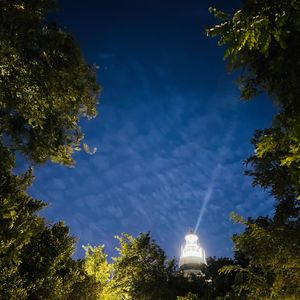 灵魂森林（纯净版）