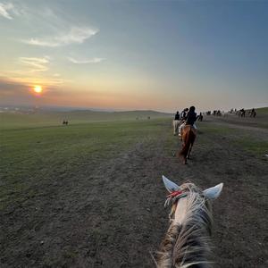山花终将灿烂时